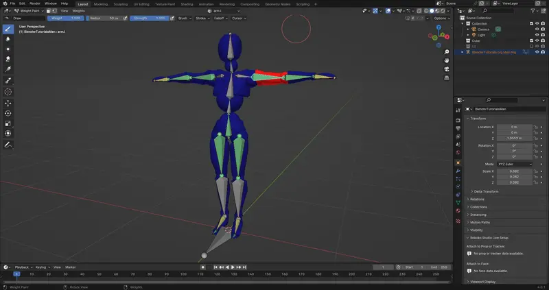 Example of rig in blender
